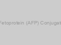 DiagNano Anti-Alpha Fetoprotein (AFP) Conjugated Gold Nanoparticles